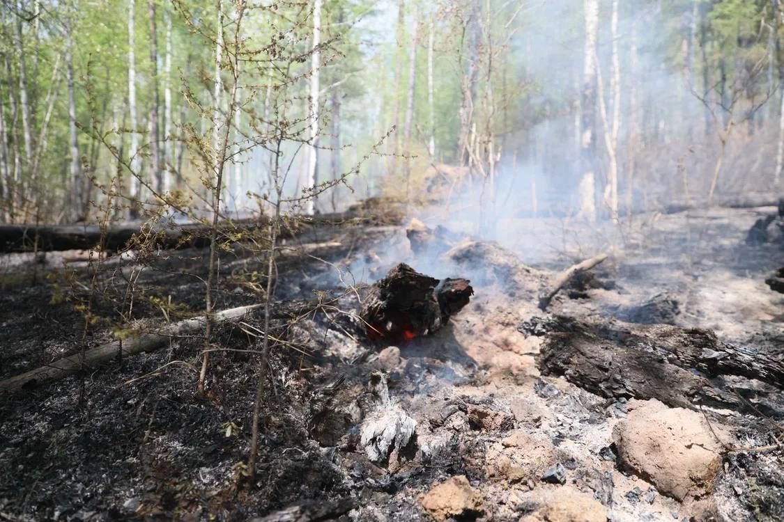 Два дома загорелись в селе Неляты из-за лесного пожара