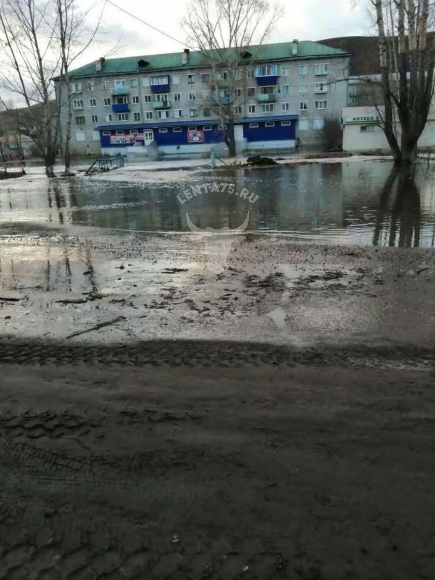 Купить Квартиру Кокуй Забайкальский Край